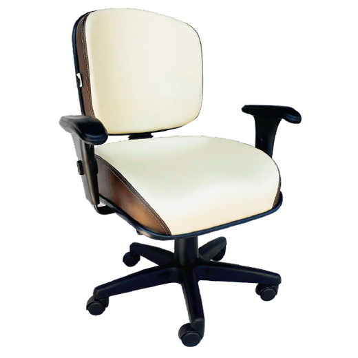 Cadeira Giratoria Executiva Spazzio Ergonomica - Com Braços